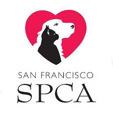 Fire Alarm Inspection Company Donates To SF SPCA