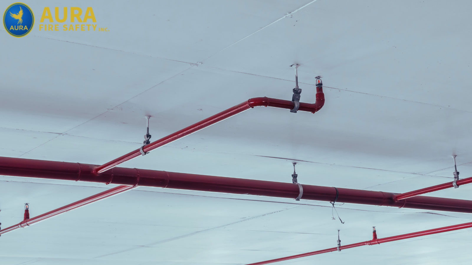 Fire Sprinkler Inspection - San Mateo, CA